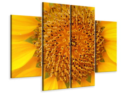 4-piece-canvas-print-beautiful-buds-of-the-sunflower