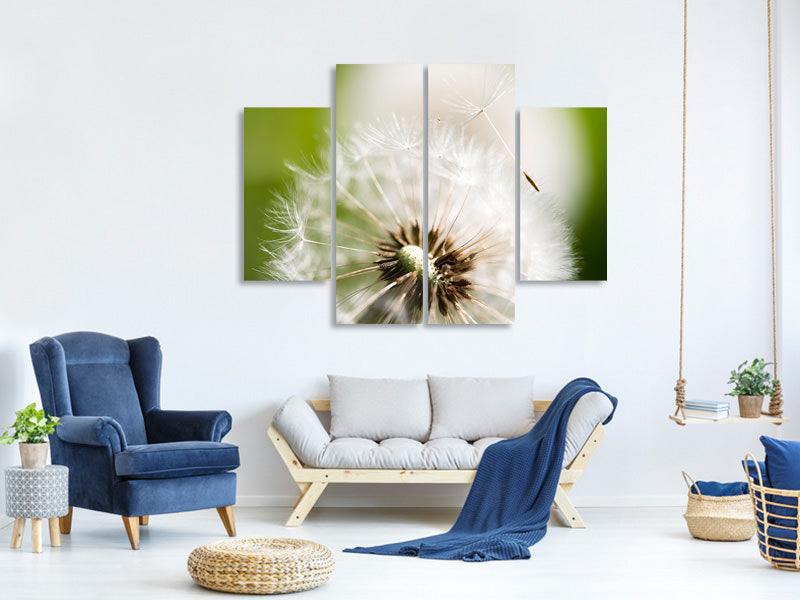 4-piece-canvas-print-blowball-dandelion