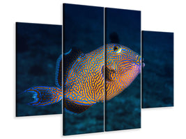 4-piece-canvas-print-blue-triggerfish