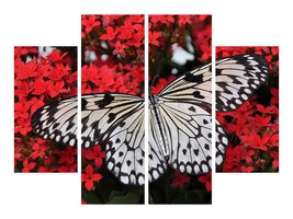 4-piece-canvas-print-butterfly-in-xxl