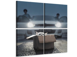 4-piece-canvas-print-cat-a