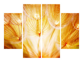 4-piece-canvas-print-close-up-dandelion-in-light
