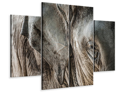 4-piece-canvas-print-close-up-elephant
