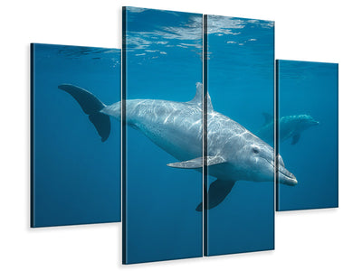 4-piece-canvas-print-curious-dolphin