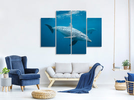 4-piece-canvas-print-curious-dolphin
