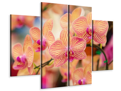 4-piece-canvas-print-exotic-orchids