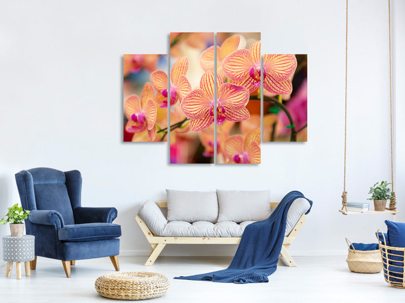 4-piece-canvas-print-exotic-orchids