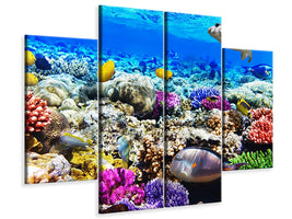 4-piece-canvas-print-fish-aquarium