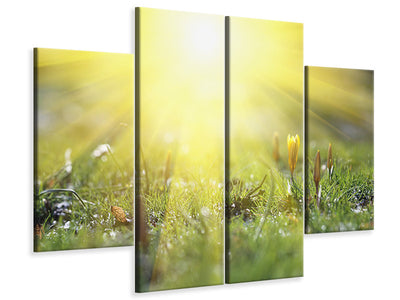 4-piece-canvas-print-flowery-meadow