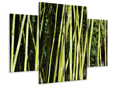 4-piece-canvas-print-fresh-bamboo