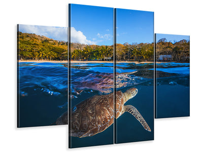 4-piece-canvas-print-green-turtle-sea-turtle