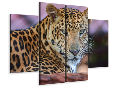4-piece-canvas-print-leopard