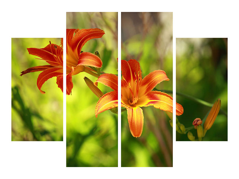 4-piece-canvas-print-lilies-in-nature