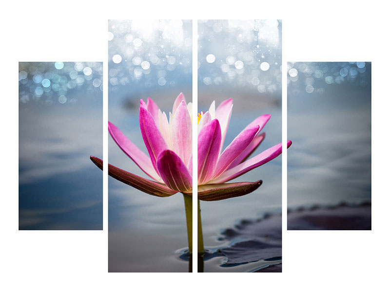 4-piece-canvas-print-lotus-in-the-morning-dew