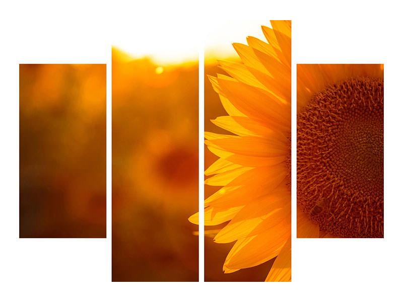 4-piece-canvas-print-macro-sunflower