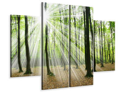 4-piece-canvas-print-magic-light-in-the-trees