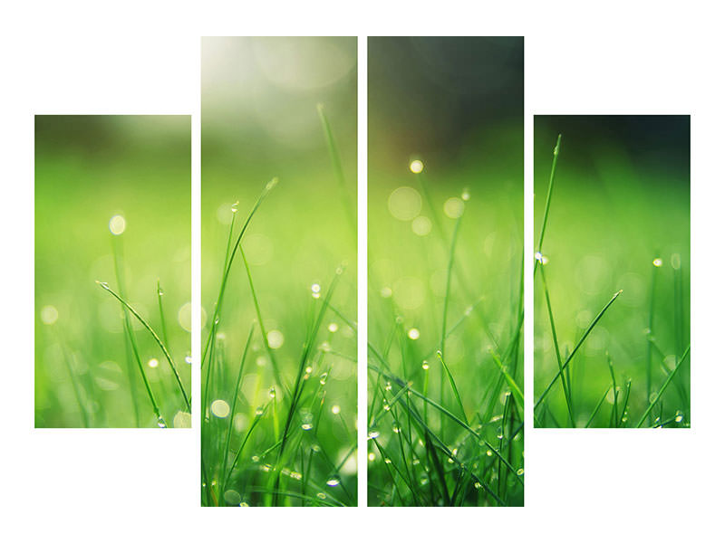 4-piece-canvas-print-meadow-with-morning-dew