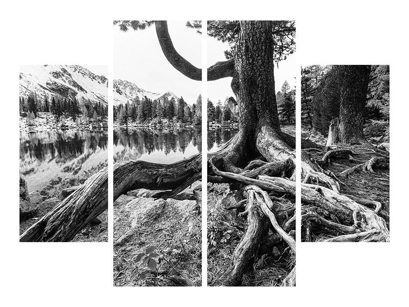 4-piece-canvas-print-old-tree