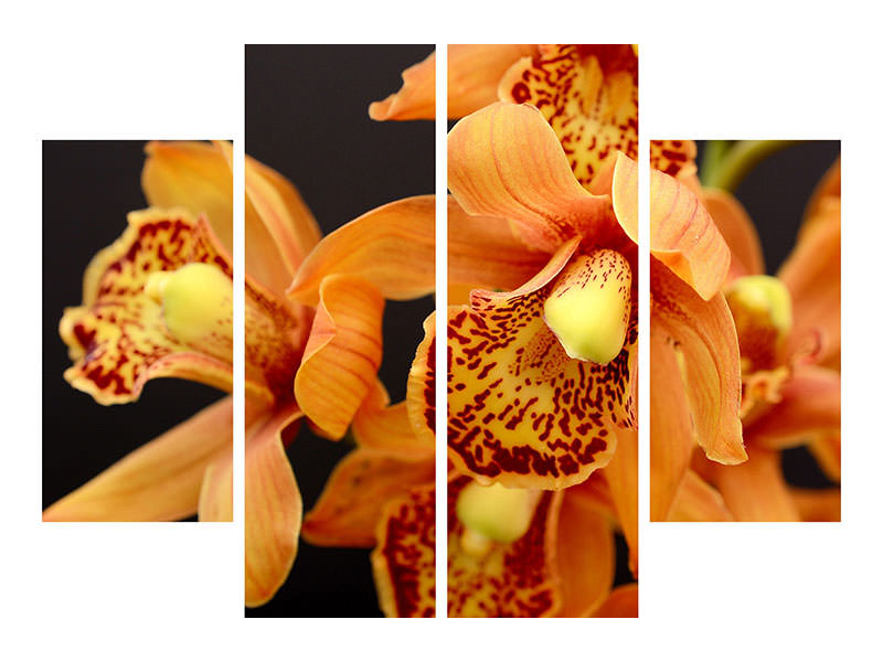 4-piece-canvas-print-orchids-with-orange-flowers