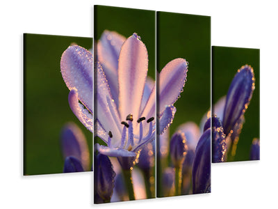 4-piece-canvas-print-ornamental-lilies-with-morning-dew