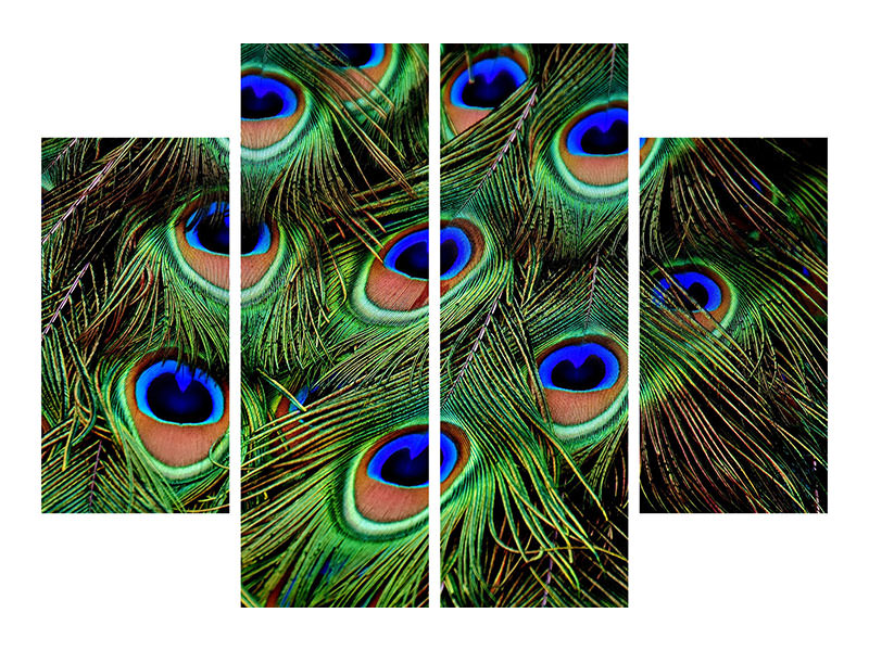 4-piece-canvas-print-peacock-feathers-xxl