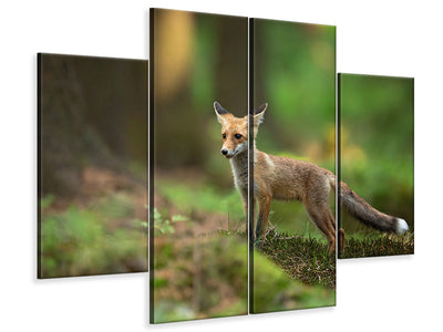 4-piece-canvas-print-red-fox