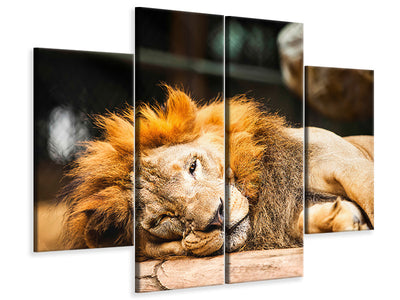 4-piece-canvas-print-relaxed-lion