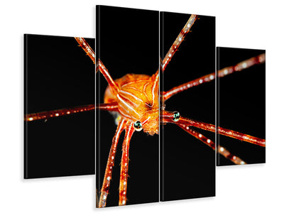 4-piece-canvas-print-spider-squat-lobster