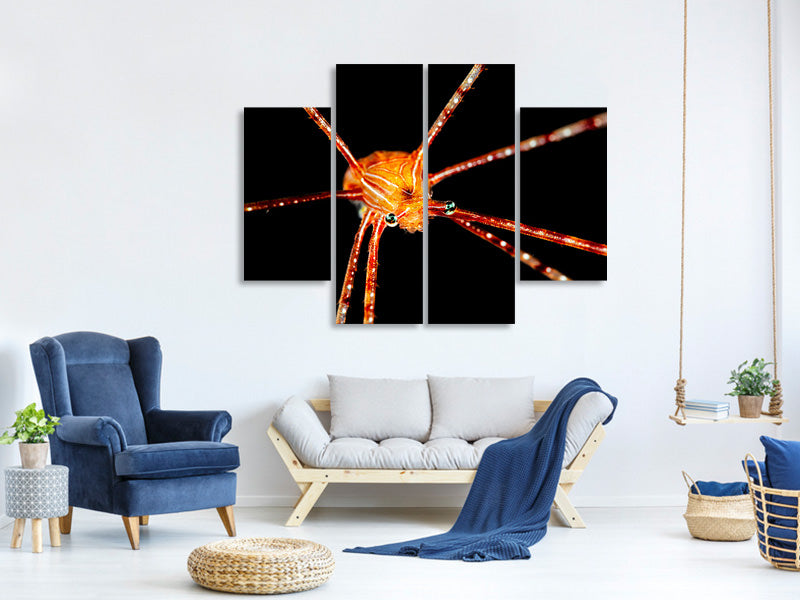 4-piece-canvas-print-spider-squat-lobster