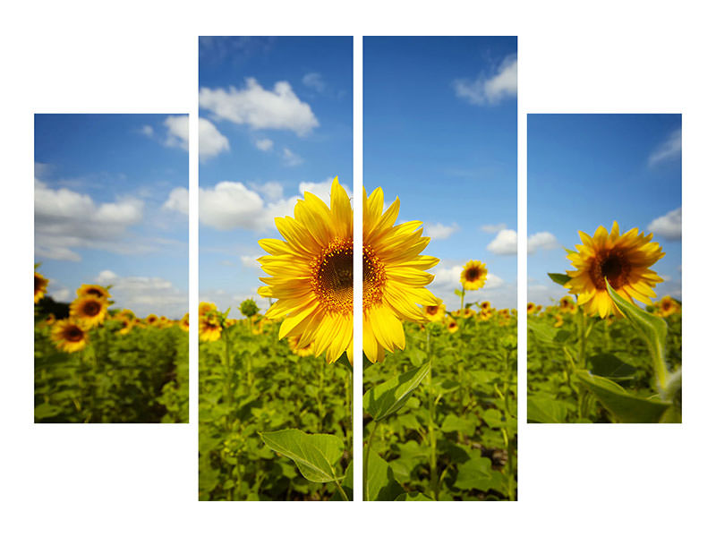 4-piece-canvas-print-summer-sunflowers