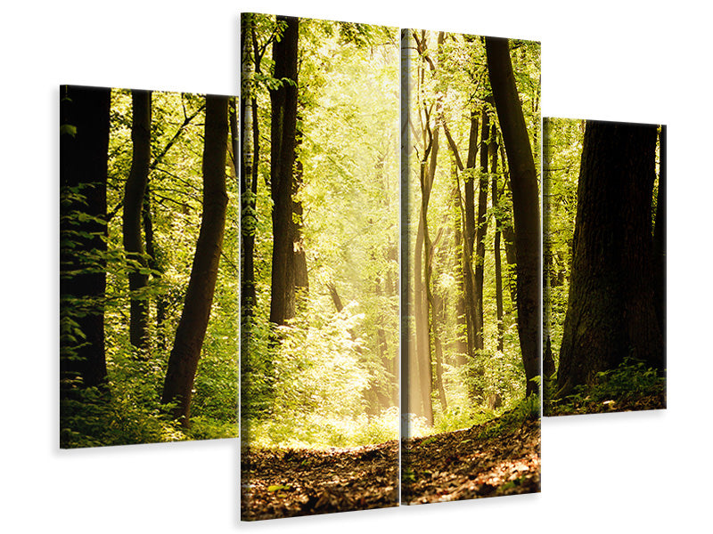 4-piece-canvas-print-sunrise-in-the-forest