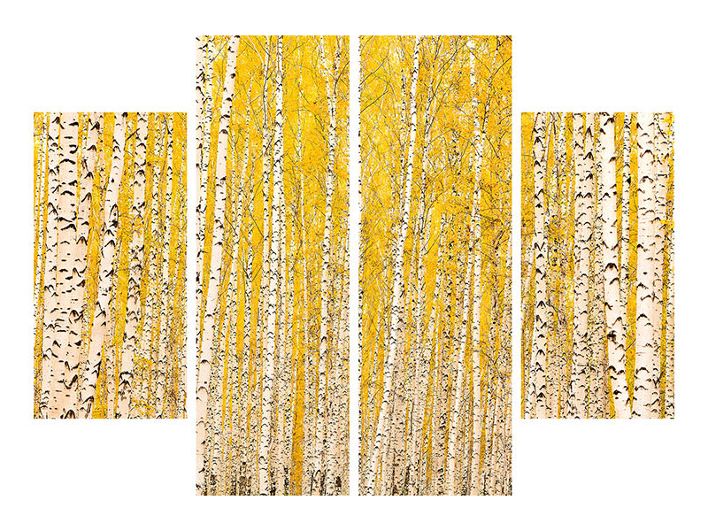 4-piece-canvas-print-the-birch-forest-in-autumn