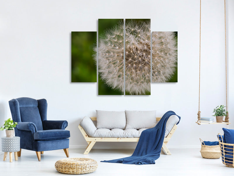 4-piece-canvas-print-the-dandelion-in-nature