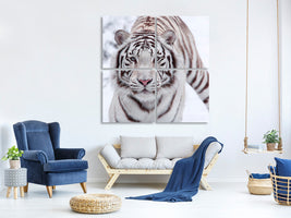 4-piece-canvas-print-the-king-tiger