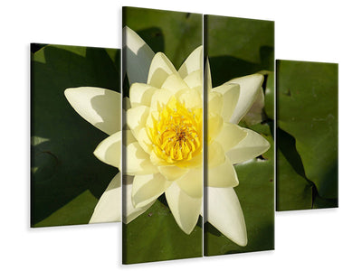 4-piece-canvas-print-the-water-lily-in-yellow