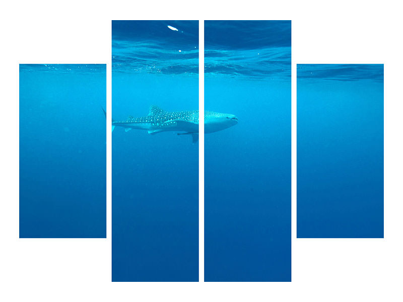 4-piece-canvas-print-the-whale-shark