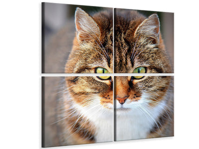 4-piece-canvas-print-tiger-cat