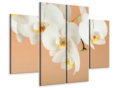 4-piece-canvas-print-white-orchid-flowers