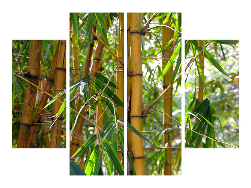 4-piece-canvas-print-wild-bamboo