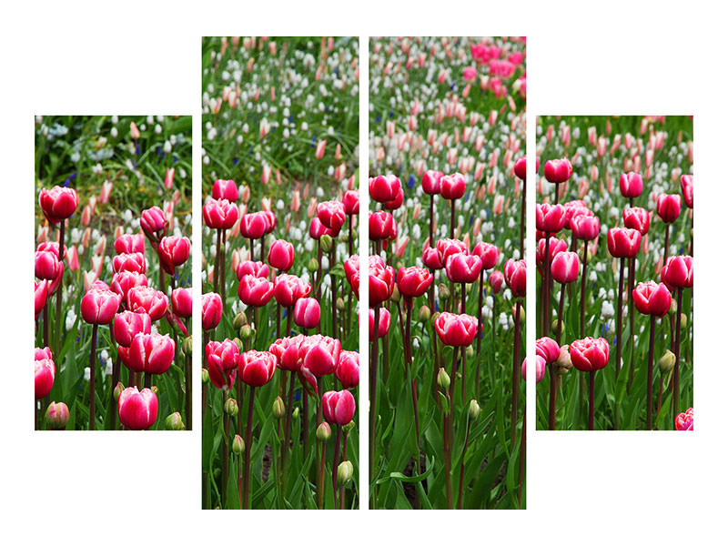 4-piece-canvas-print-wild-tulip-field