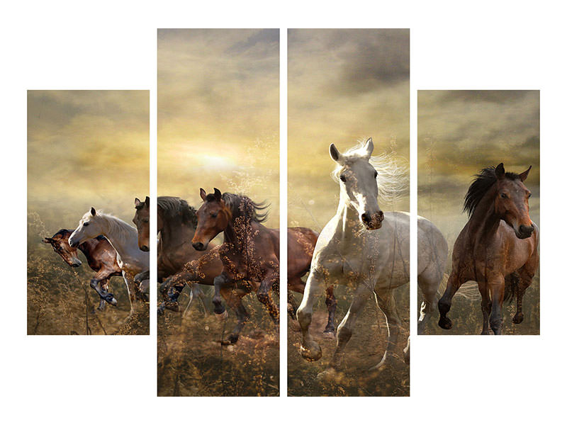 4-piece-canvas-print-wild-wild-horses