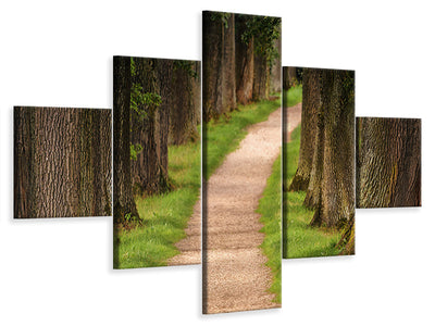 5-piece-canvas-print-a-path-in-the-forest