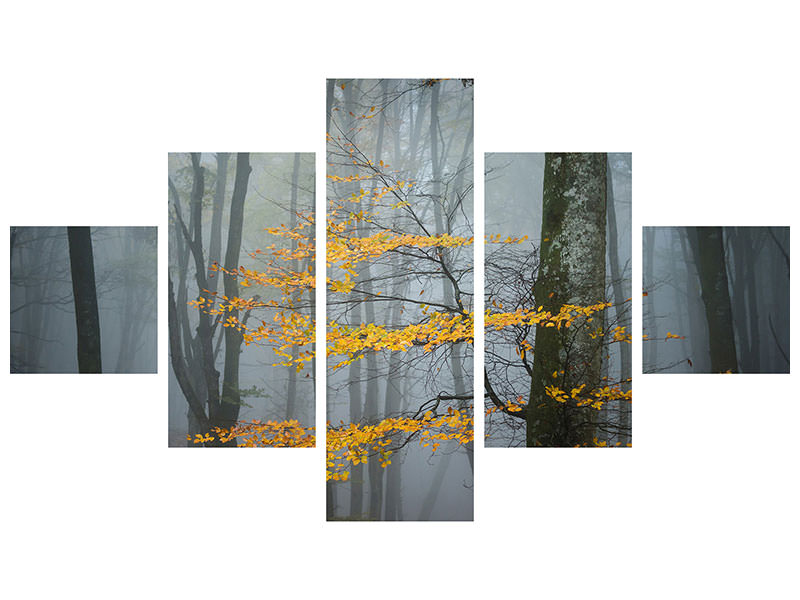 5-piece-canvas-print-beech-forest-in-autumn