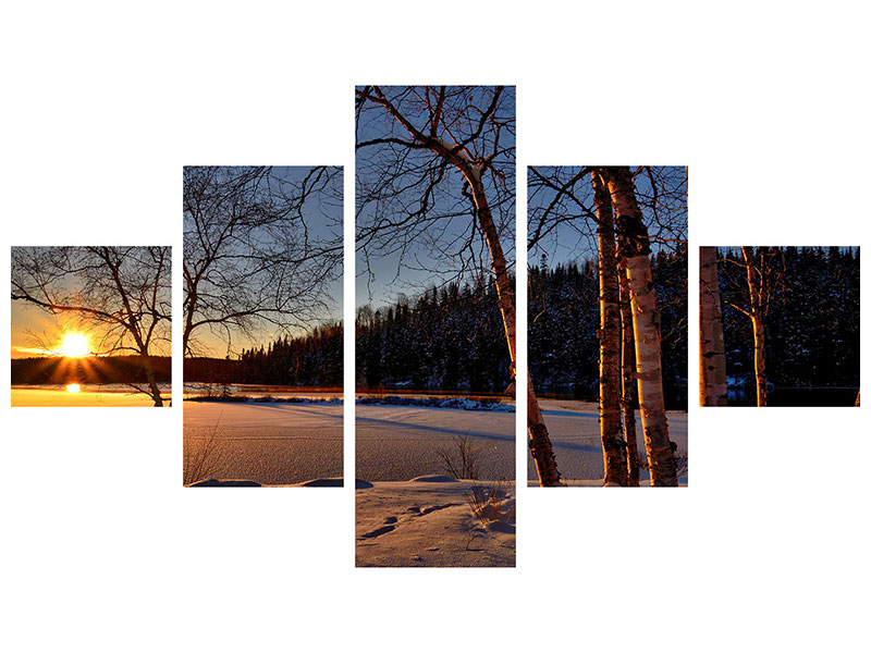 5-piece-canvas-print-birches-in-the-sunset