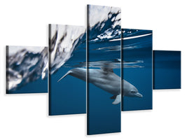 5-piece-canvas-print-bottlenose-dolphin-turciops-aduncus