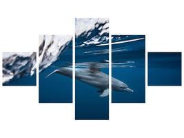 5-piece-canvas-print-bottlenose-dolphin-turciops-aduncus