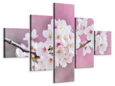 5-piece-canvas-print-cherry-blossoms-xxl