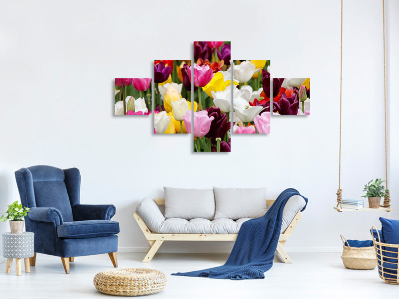 5-piece-canvas-print-colorful-tulip-field