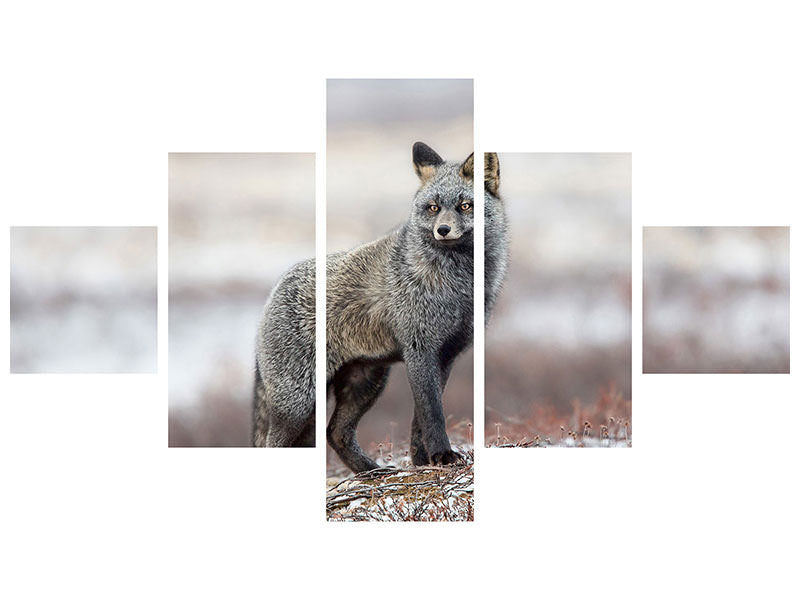 5-piece-canvas-print-cross-fox