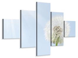 5-piece-canvas-print-dandelion-in-sunbeam